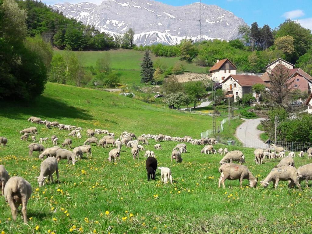Saint-Jacques-en-Valgodemard Les Clarines Perceneige - Chambre D'Hotes Vue Sur Montagne & Spa المظهر الخارجي الصورة